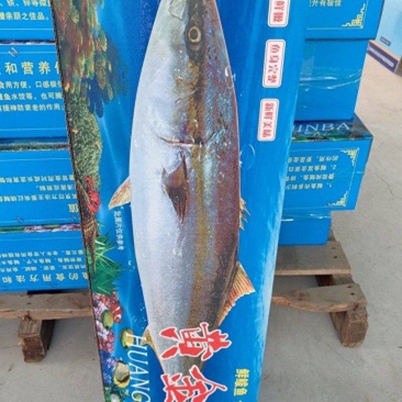 海鲜一件代发